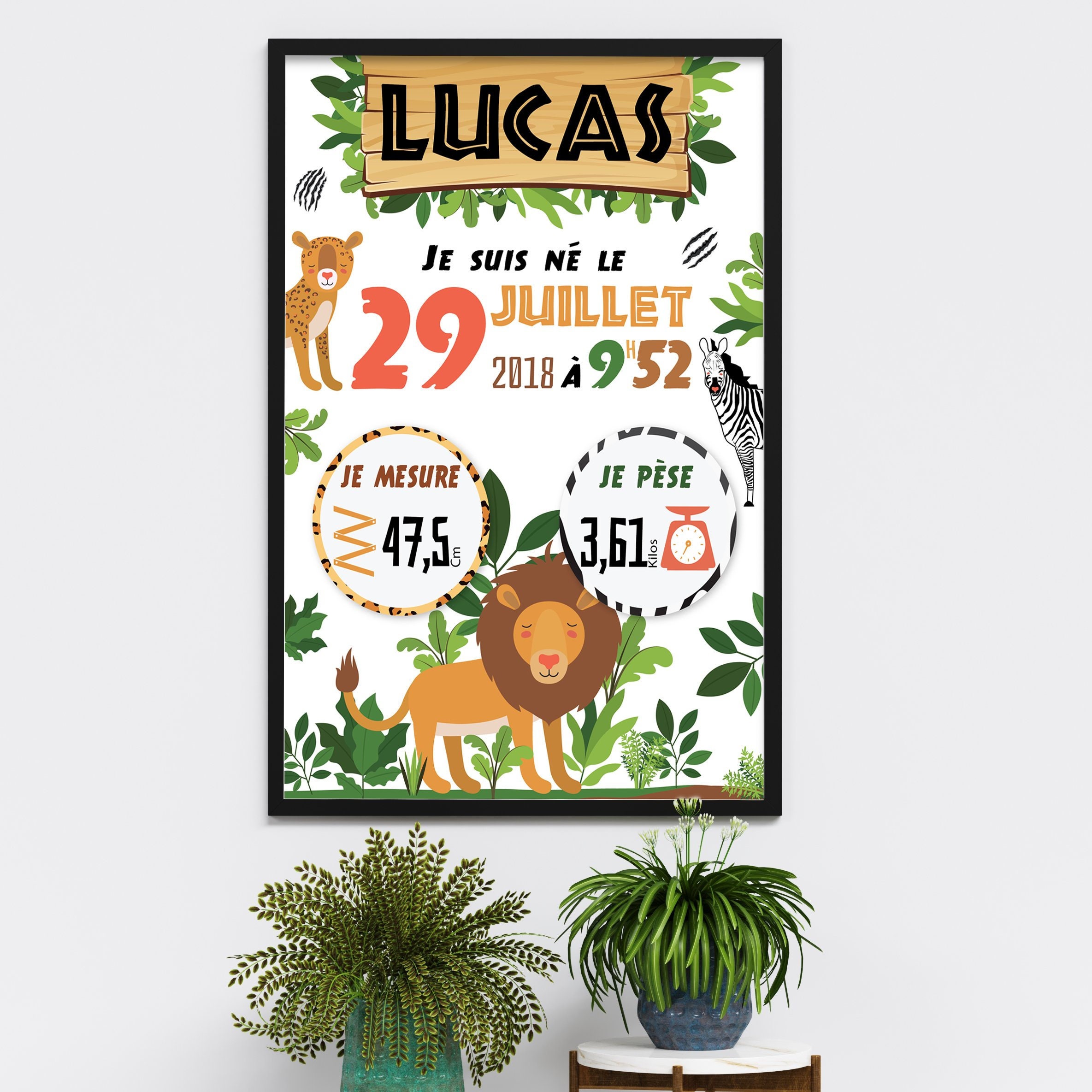 Affiche de Naissance - Savane Omade