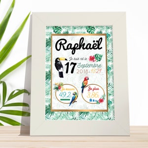 Nascita di personalizzato tropicale di poster per il aquralle - un poster di nascita grafica e dolce con suo Tucano e pappagalli.
