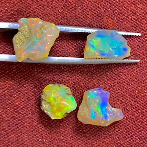 May include: Four raw opal gemstones with vibrant flashes of color. Two opals are held by a silver tweezer. The opals display a mix of yellow, orange, green, and blue hues, set against a neutral background.