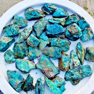 May include: A collection of turquoise rough stones in various sizes and shapes. The stones are a vibrant blue-green color with brown and black markings.