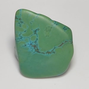 May include: A polished, irregular-shaped turquoise gemstone featuring a smooth, matte surface in shades of light green and teal, accented by a network of thin, dark brown matrix veins that create a natural, web-like pattern across the stone.