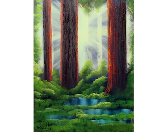 Redwood Forest PRINTS