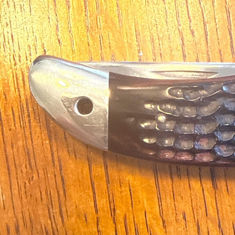 May include: A pocket knife handle featuring a polished silver-tone metal bolster with a circular lanyard hole on the left side, transitioning into a dark brown, textured, jigged bone handle scale with a small metal pin visible on the surface.