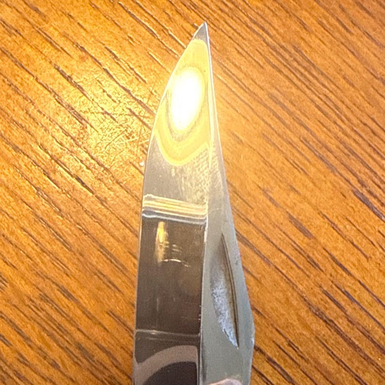 May include: A sharp, pointed metal knife blade with a polished, reflective surface. The blade features a curved spine that tapers to a fine tip, with a distinct nail nick groove visible along the side of the metallic steel construction.