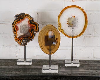 Polished Brazilian Agate Slice on Acrylic Stand, Set of Three - Modern Rustic Home Accessories