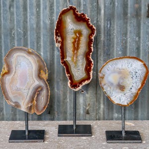May include: Three agate stone slices displayed on metal stands. The stones feature a variety of colors, including brown, white, and orange, with unique patterns. The stands have a square base and a vertical rod.