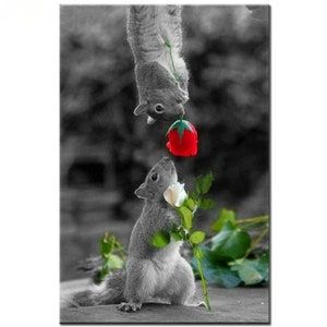 Könnte beinhalten: Zwei graue Eichhörnchen, eines hängt kopfüber, halten Rosen. Das Eichhörnchen, das kopfüber hängt, hält eine rote Rose, und das Eichhörnchen, das auf dem Boden steht, hält eine weiße Rose.