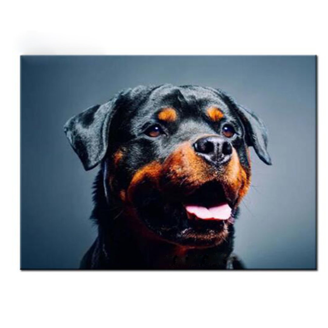 Crystal Diamond Painting Rottweiler Dog Diamond Embroidery,full Square ...