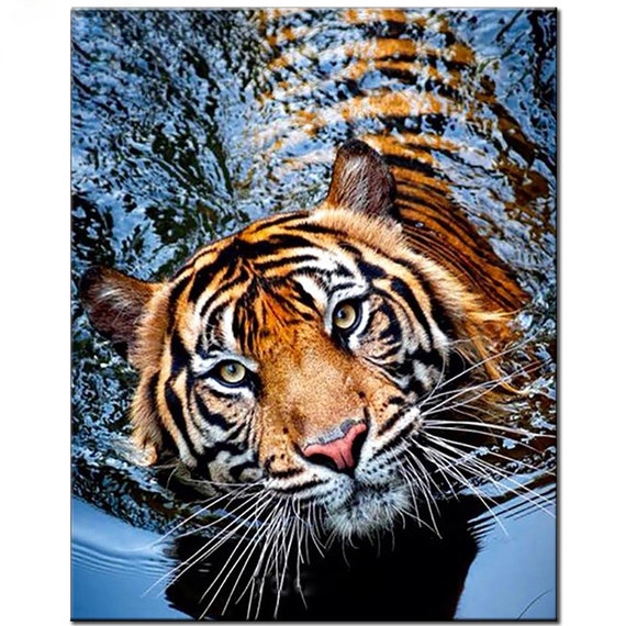 DIY 5D Diamond Painting Kits voor Volwassenen Beginners, Baby Tijger Diamant Art Kits, Volledige Vierkante Boor Dieren Diamant Stippen Edelsteen Art Borduurwerk, Kerst Thuis Wall Art Decor Gift 30 x