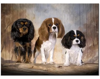 5d Diy diamond painting Cavalier King Charles Spaniel dog full drill mosaic artwork diamond embroidery crafts animal