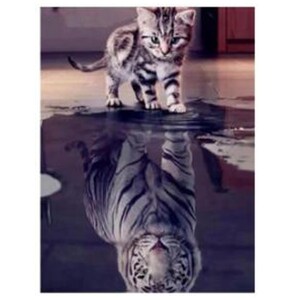 Volles Quadrat Runde Harz Bohrer Diamant Malerei Katze Tier 5D DIY Mosaik Stickerei Tiger Decor Home Bild Von Strass Handgemacht