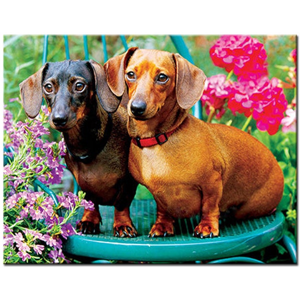 5D stickers Diy Diamond Painting Dachshund Shorthaired Picture of Resin Rhinestones Embroidery Mosaic full stones pet puppy