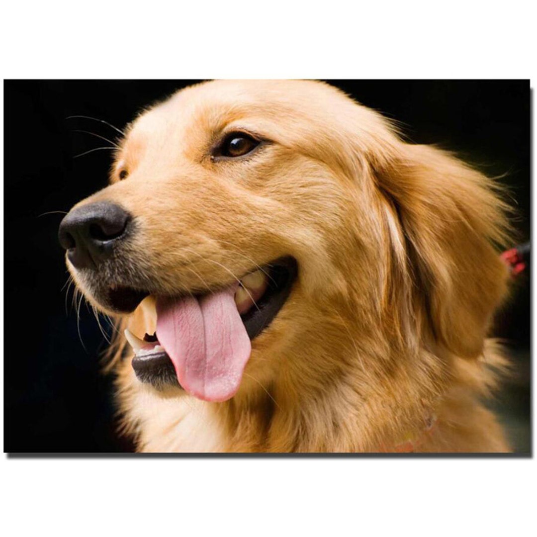 Diy Diamond Painting Golden Retriever Daimond Embroidery Full 