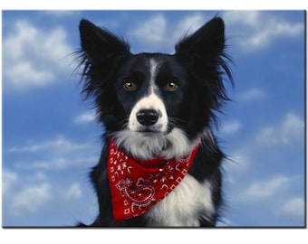 5D DIY Diamond Painting Cross Stitch Dog Diamond Embroidery Border Collie full Square Round Resin Drill Mosaic Rhinestone Wall Stickers