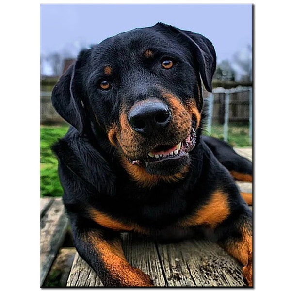 Rottweiler, recién llegado, bordado de diamantes, perro mascota, pintura de diamante artesanal, punto de cruz, mosaico de diamantes, animal moderno, decoración del hogar para mascotas