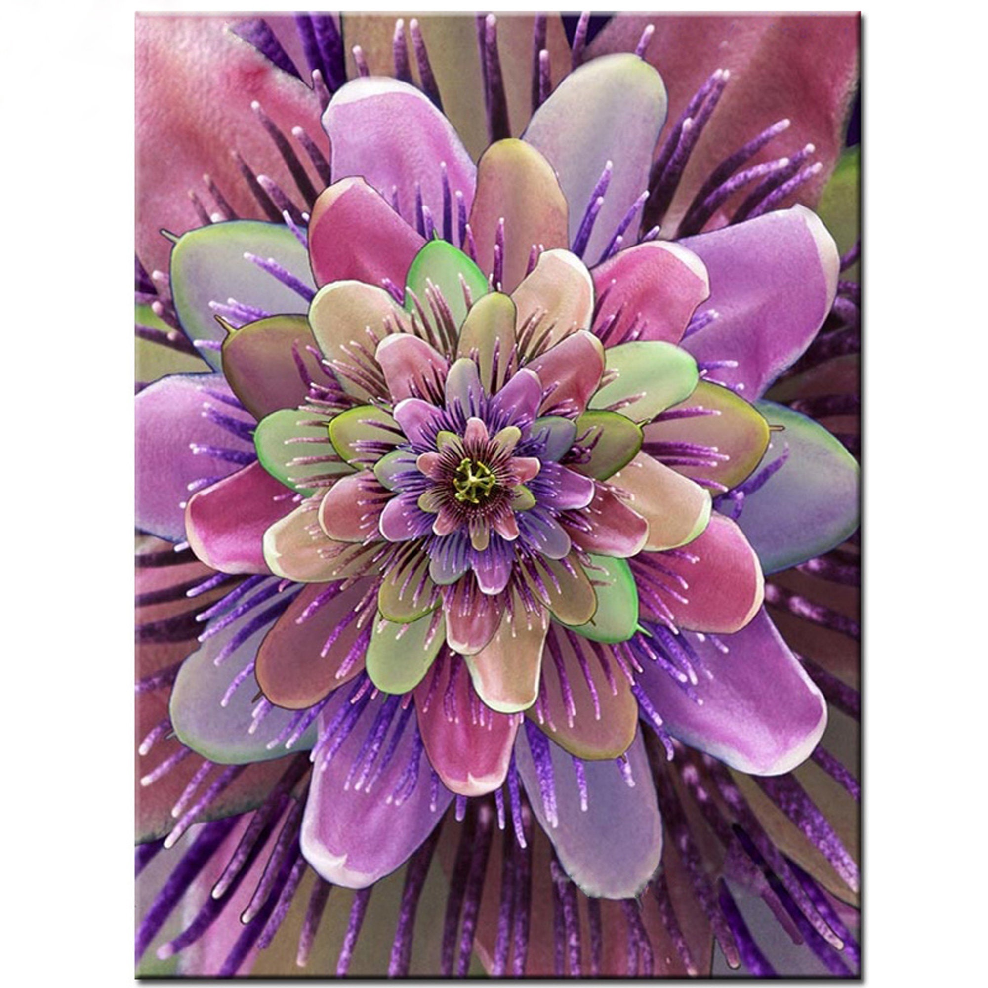 Succulent Plants Diy Diamond Painting Full Display Etsy