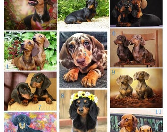 Diy 5d diamond painting Dachshund rhinestones full drill diamond embroidery animal cute Dog cross stitch mosaic pattern