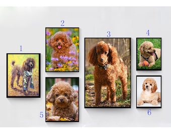 Full square/Round Diamond embroidery poodle diamond Painting Cross Stitch Resin Rhinestone Mosaic home decor dog pet picture