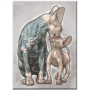 Könnte beinhalten: Zwei haarlose Katzen, eine mit einem blauen und grauen Tattoo im japanischen Stil, schauen sich an. Die Katze mit dem Tattoo leckt der anderen Katze die Nase.