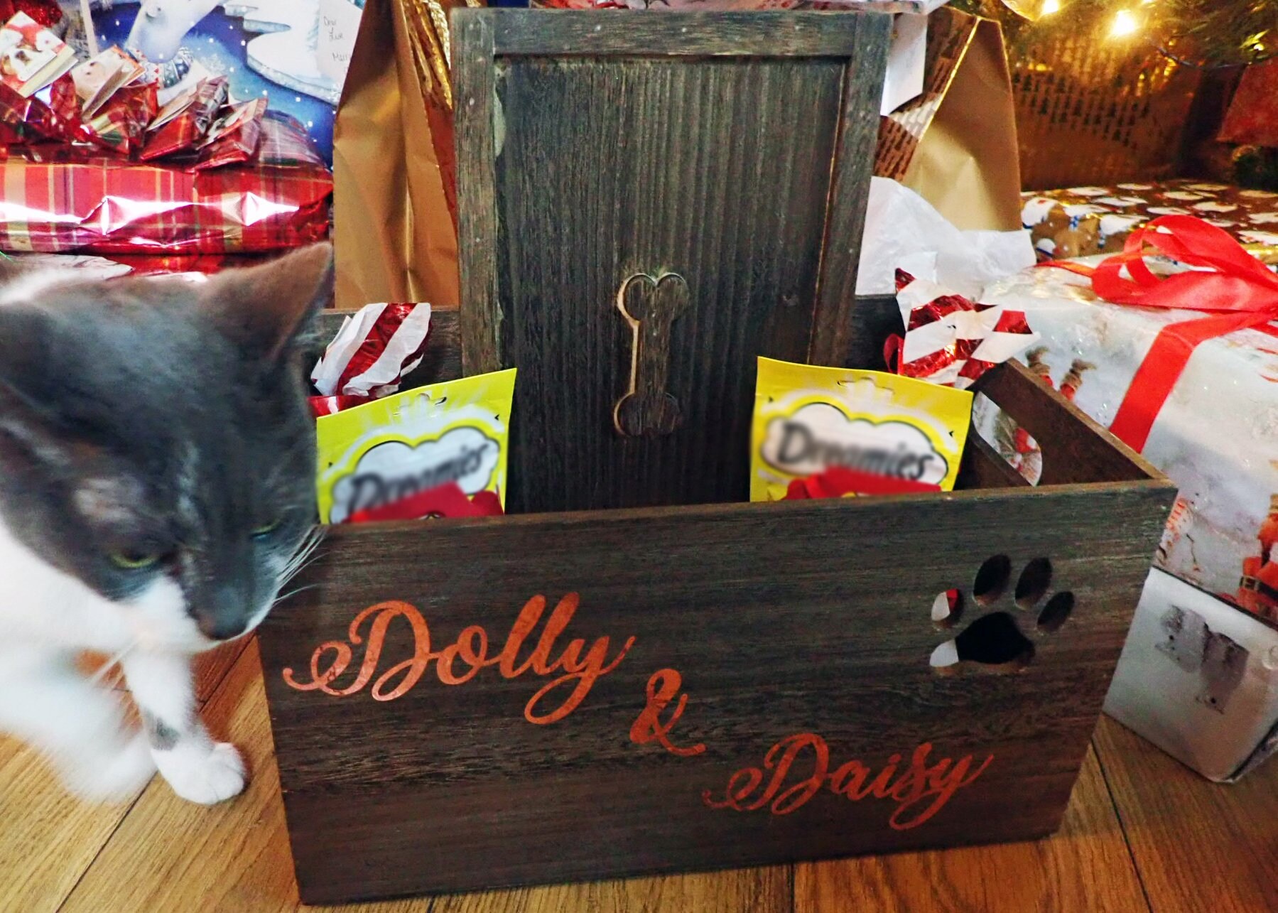 personalised cat toy box