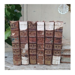 Superb collection of Antique French Leather Books from the 1700&#39;s ~ Bookshelf Decor ~ Antique Leather Bound Books ~Sermons du Pere Bourdalou