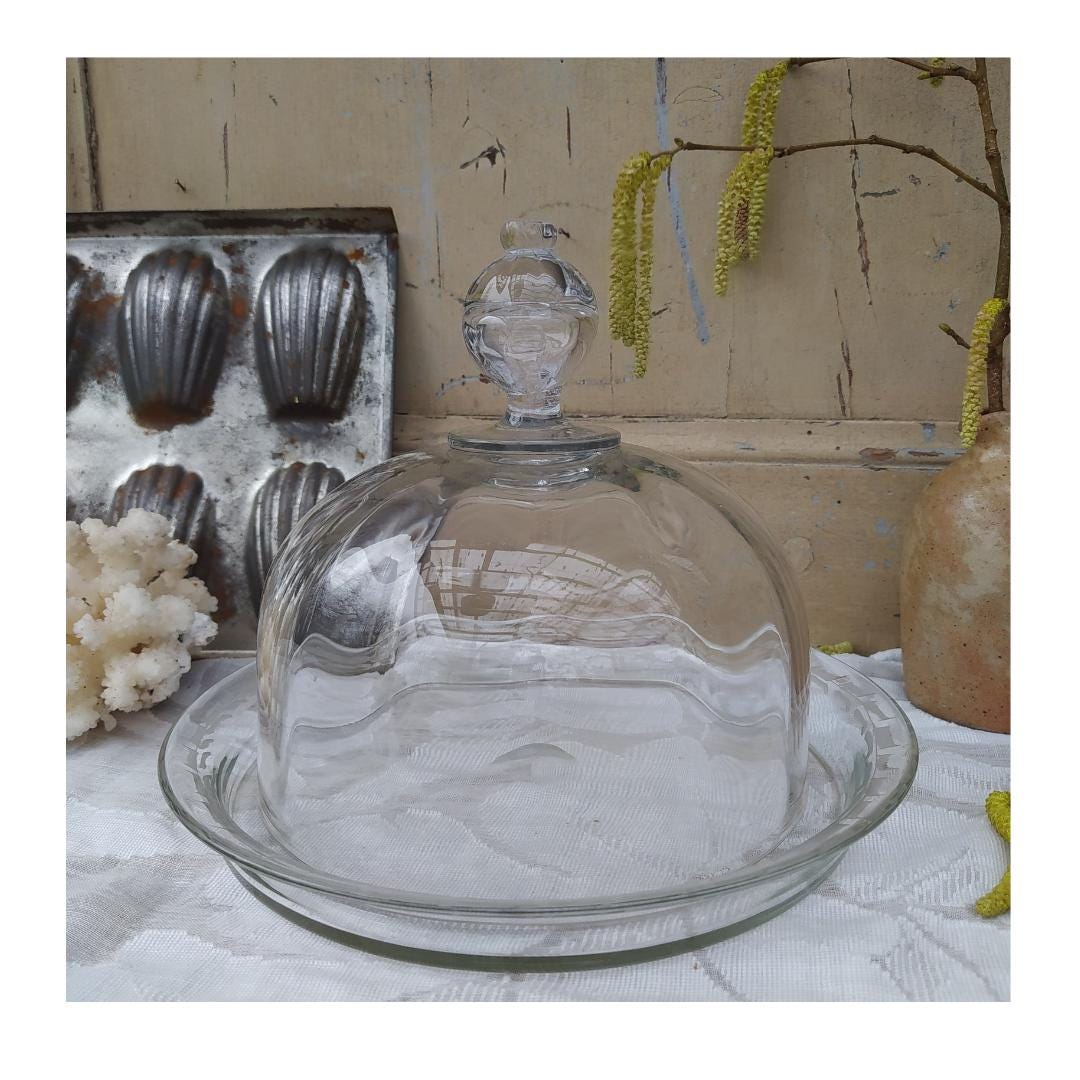 Glass dome 30cm - Etsy 日本 Glass dome 30cm - Etsy 日本