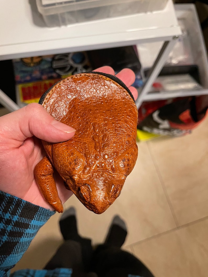 Cane Toad Coin Purse Etsy