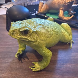 May include: A detailed, green frog figurine with textured skin and realistic features. Another gold-colored frog figurine is visible in the background. The frog figurines are on a wooden surface.
