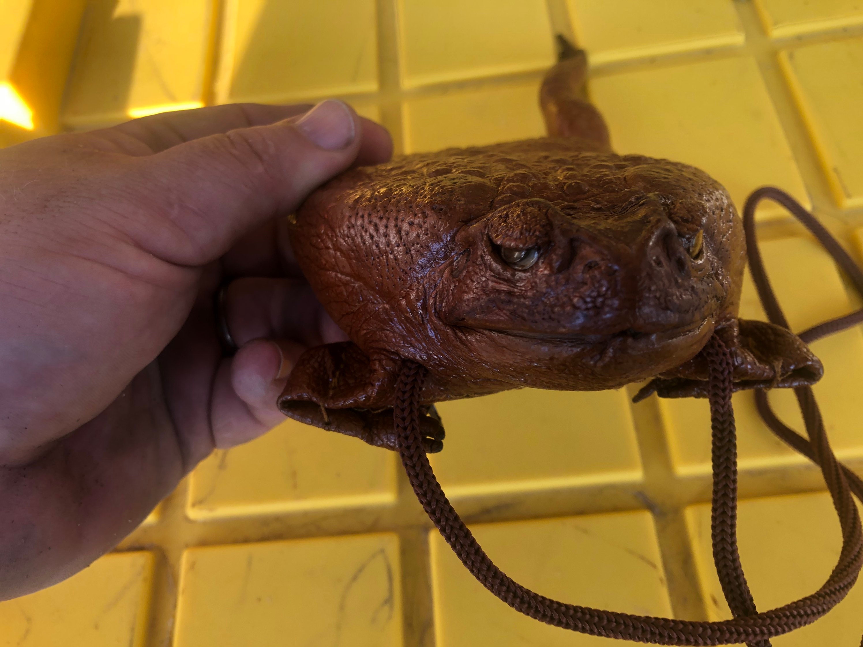ToadShop - Australian Cane Toad Leather Products :: Unique Gifts, Purses,  Wallets, Jewelry