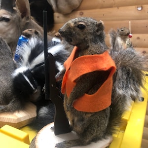 Brand new hunting squirrel