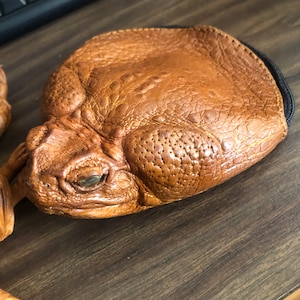 Cane toad coin purse