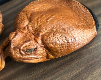 Cane toad coin purse