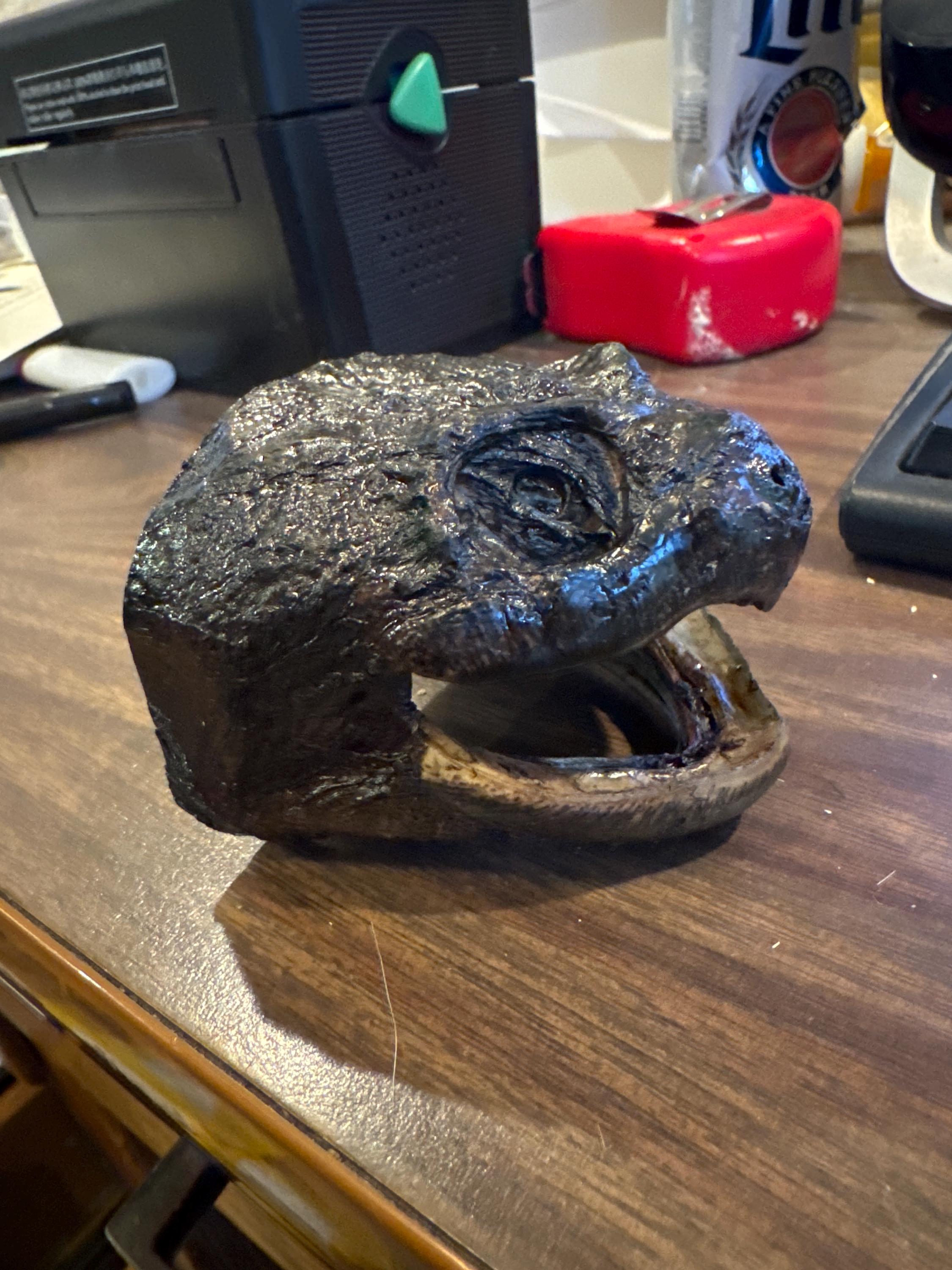Turtle Shell Mount Turtle Head Mount - Etsy