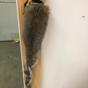 Squirrel pouch handbag