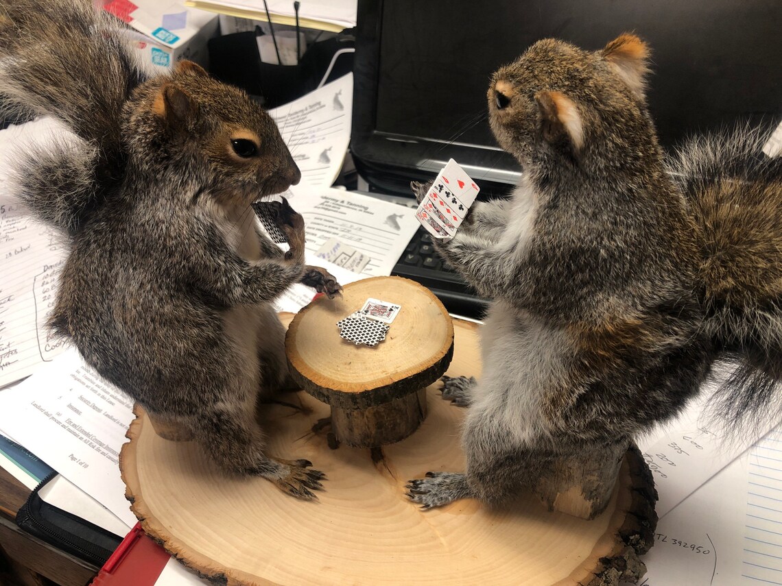 Poker playing squirrels Etsy