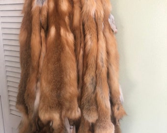 Red fox tanned