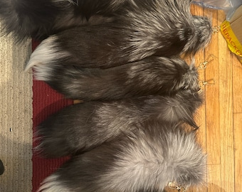 silver fox tails