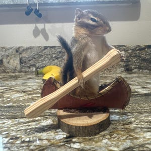 Canoeing chipmunk