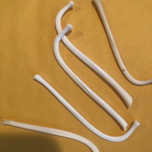 May include: Four white, curved, bone-like objects on a brown surface.