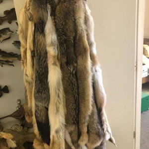 Coyote hide