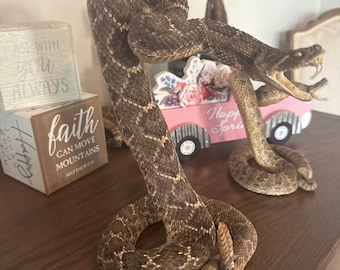 rattlesnake snake mount