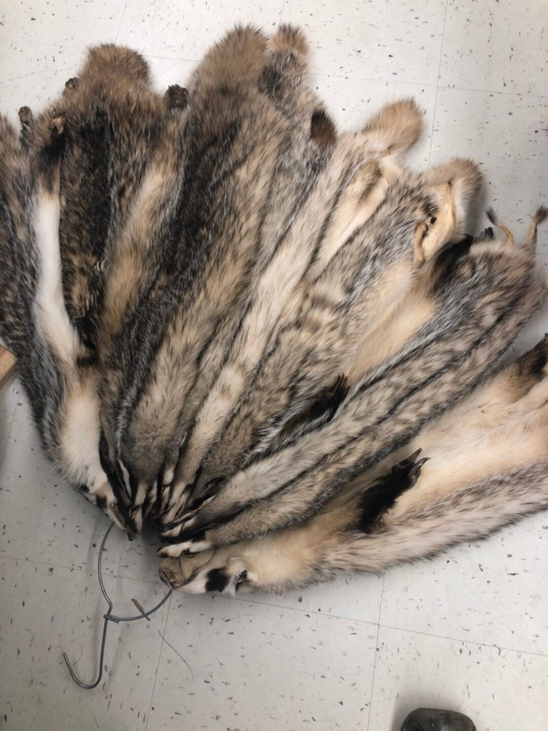 Badger Hides Etsy