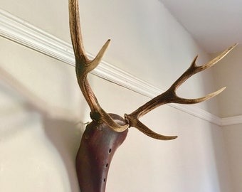 Upcycled Stag Head Brooks Bike Seat Wall Mounted