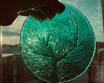 Scandinavian sun catcher green glass window ornament. Ø16cm - 6,3&quot; Pine by Hadeland