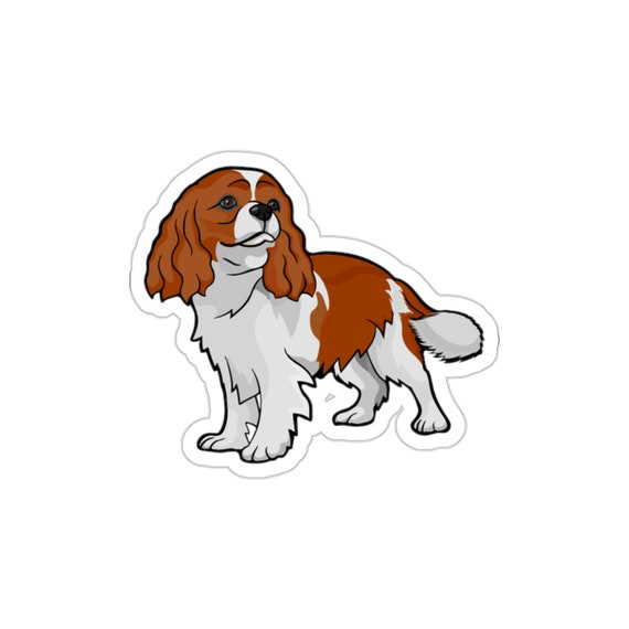 Tri Cavalier King Charles Spaniel Aqua Socks Tri Cavalier King Charles Spaniel Aqua Socks
