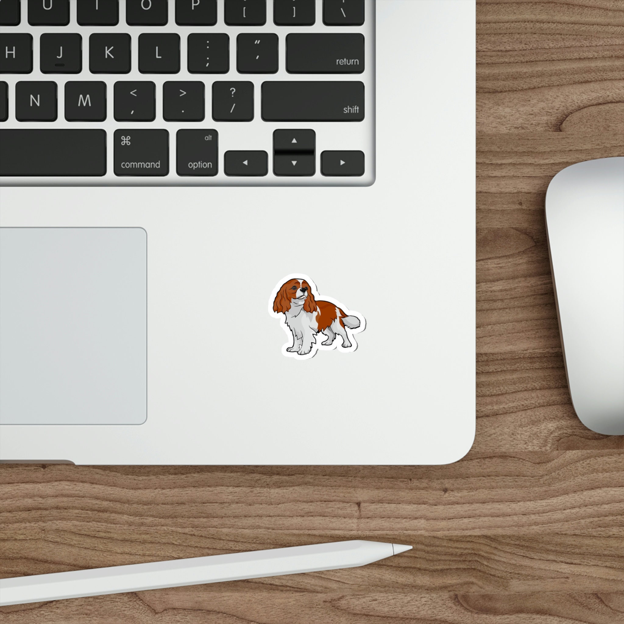 Cavalier King Charles Spaniel Aufkleber – 10 Cm, Glänzendes Vinyl, 2 Stück, Für Laptop, Auto & Scrapbooking