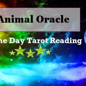 Leitura do Oráculo Animal Arcanjo - Perguntas/Orientações/Conselhos