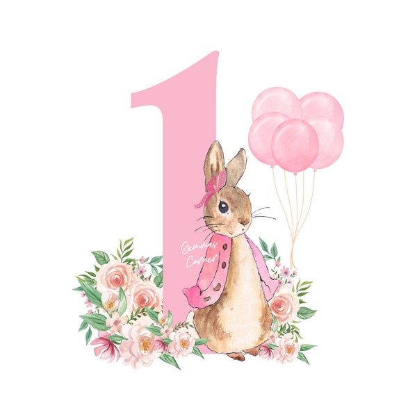Pink Flopsy the Rabbit PNG, Peter Rabbit Age 1 PNG, Instant Digital Download , Peter Rabbit, 1st Birthday , Card Making , Sublimation Design