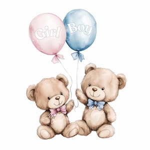 Pink & Blue Teddy Bear PNG, Gender Reveal Girl or Boy What Will Baby Be? Pink Blue Bears, Instant Digital Download, Sublimation Design