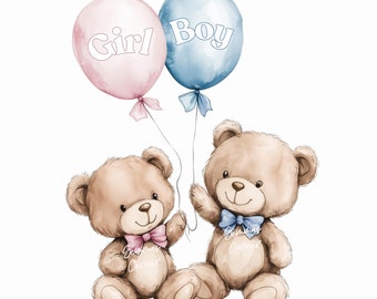Pink & Blue Teddy Bear PNG, Gender Reveal Girl or Boy What Will Baby Be? Pink Blue Bears, Instant Digital Download, Sublimation Design